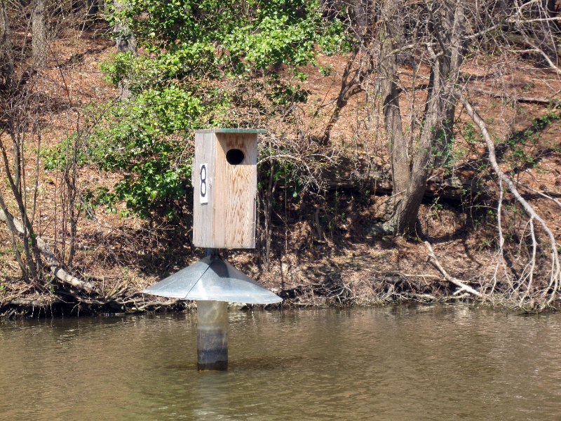 Duck House
